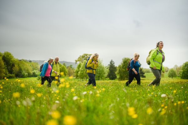 A group walking in the countryside